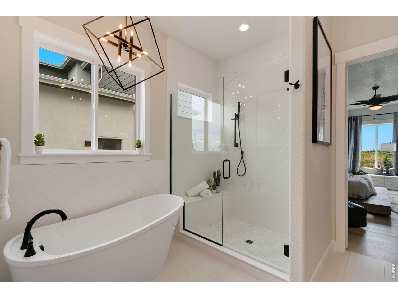 Free Standing Tub and Separate Shower