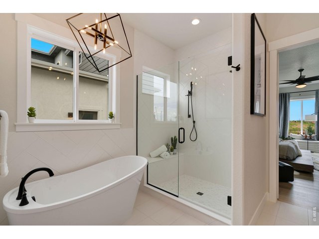 Property Photo 16 Free Standing Tub and Separate Shower