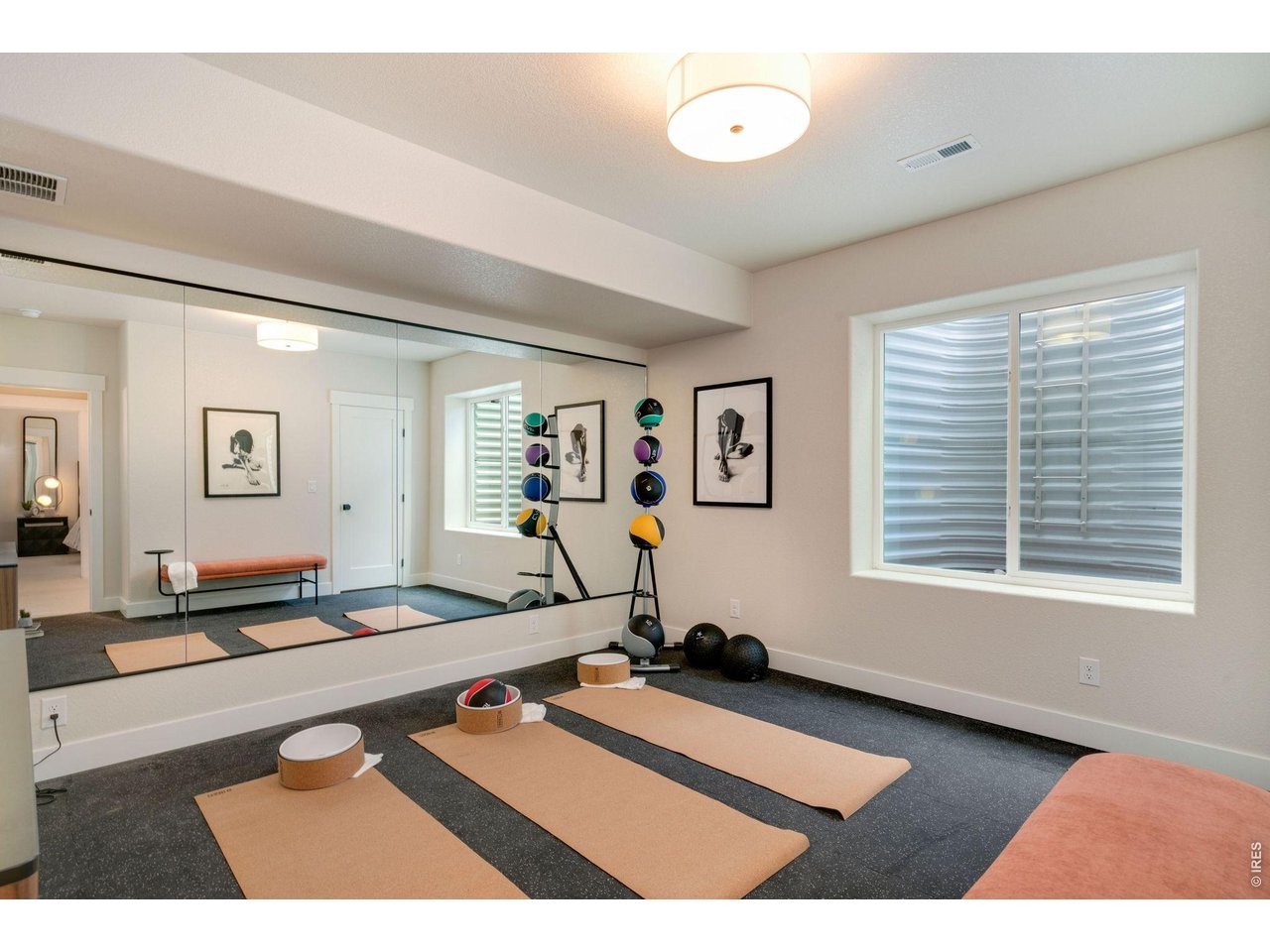 Bedroom #4 or Workout Room