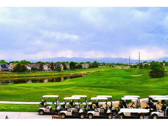 Property Photo 28 Ute Creek Golf Course is just one of many golf courses near by.