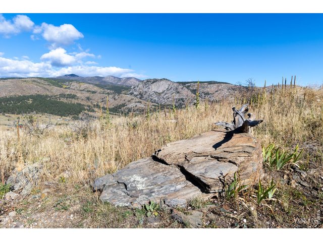 Property Photo 25 
