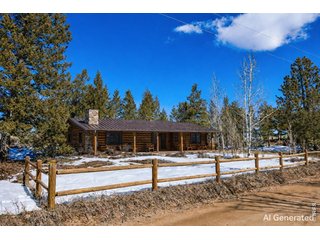 815 Cougar Run Nederland, CO 80466
