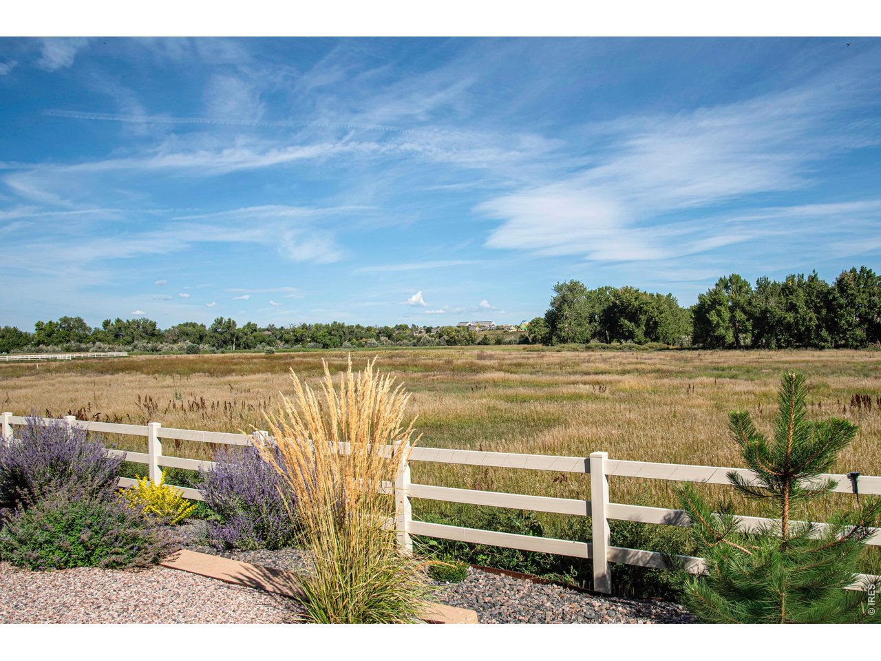 Sweeping Views of Mature Trees and River Corridor 
