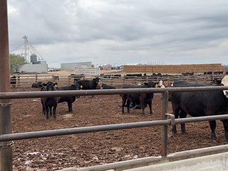 0 Hwy Kit Carson, CO 80825