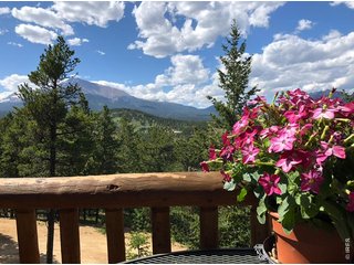 254 Arrowood Dr Lyons, CO 80540