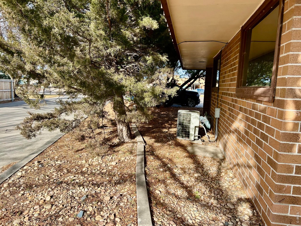 West Side of Property