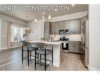 6784 Maple Leaf Dr Timnath, CO 80547