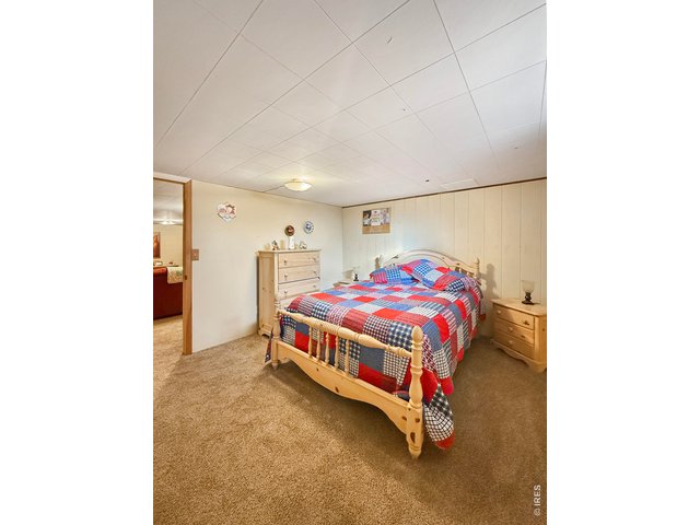 Property Photo 29 2nd Nonconforming Bedroom in Basement