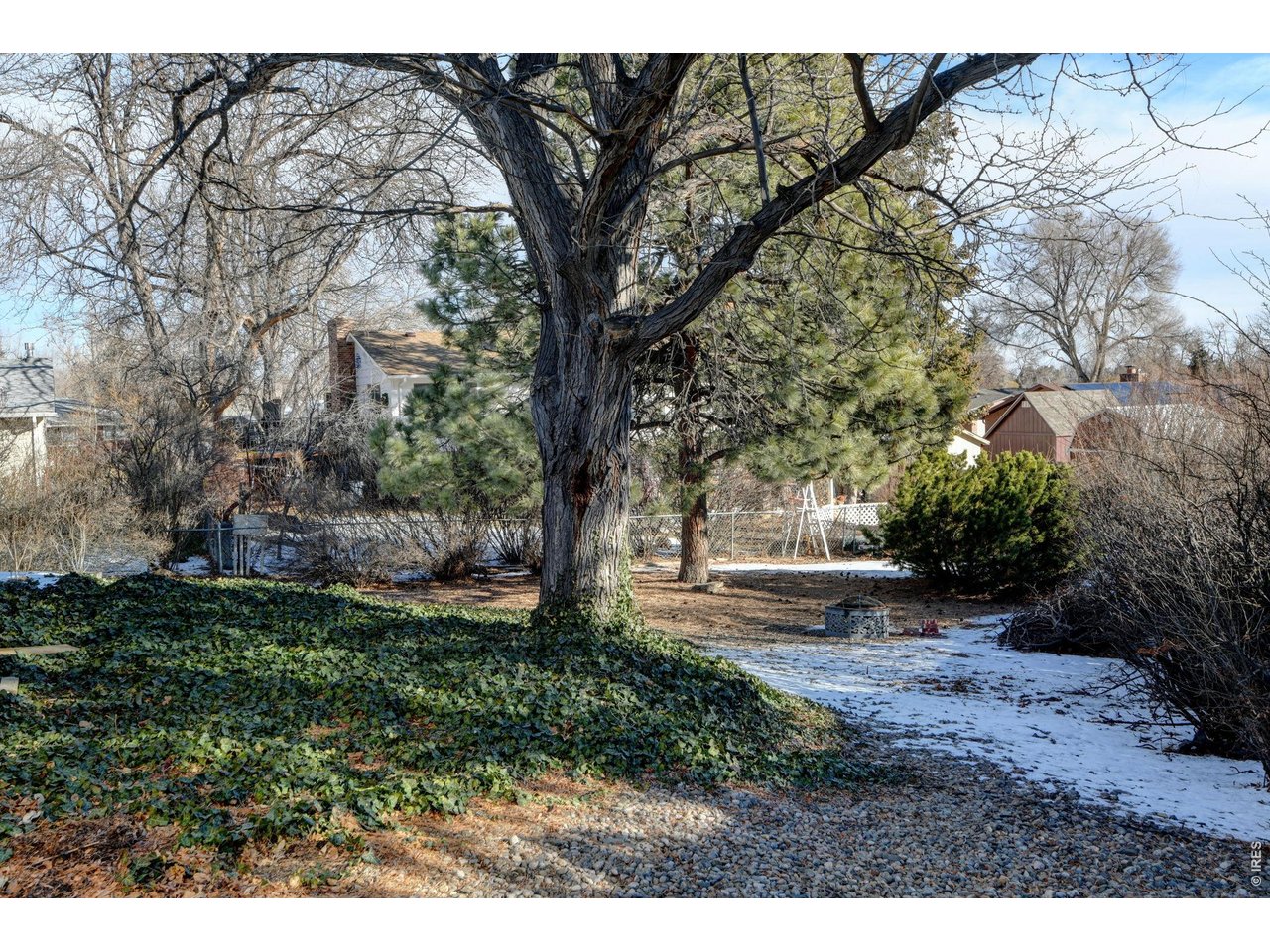 Beautiful Colorado yard