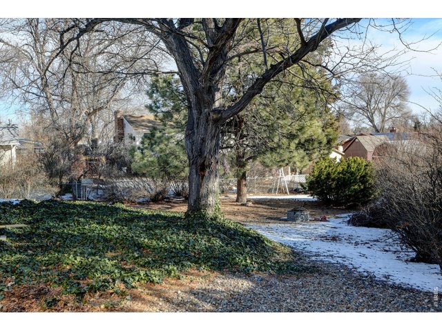 Property Photo 32 Beautiful Colorado yard