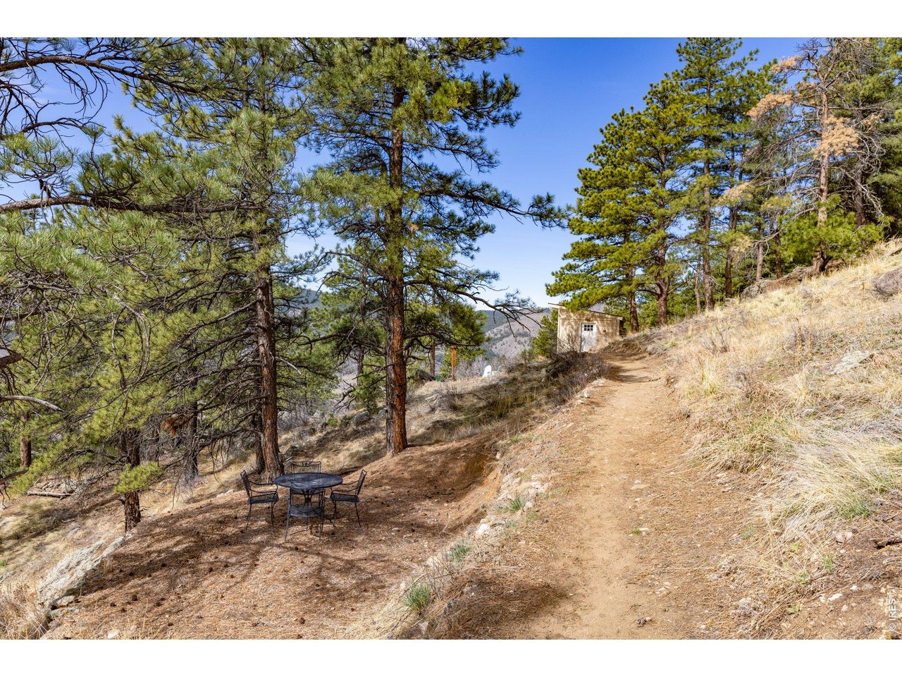 There's a few faint trails for exploring around the 40 acres.