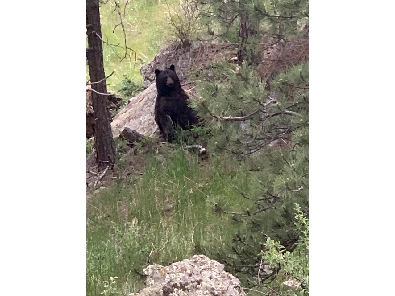  Just sitting down for a break. (Seller Provided Photo)