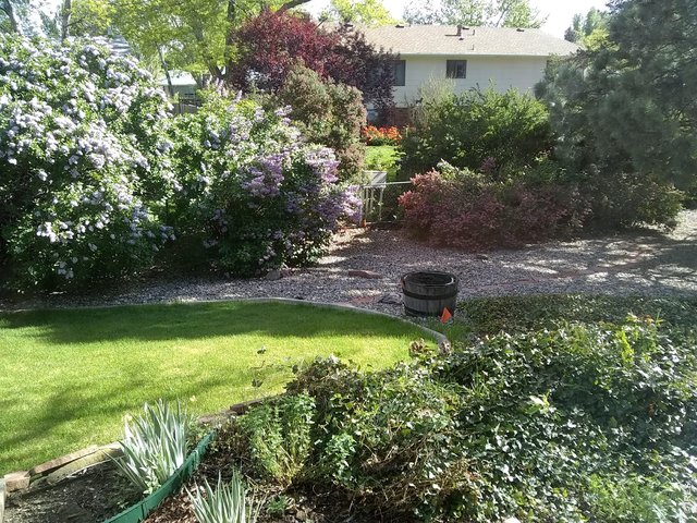 Property Photo 42 