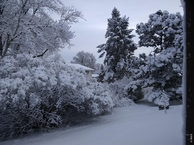 Property Photo 43 