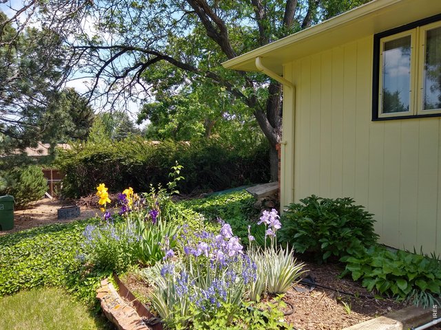 Property Photo 44 