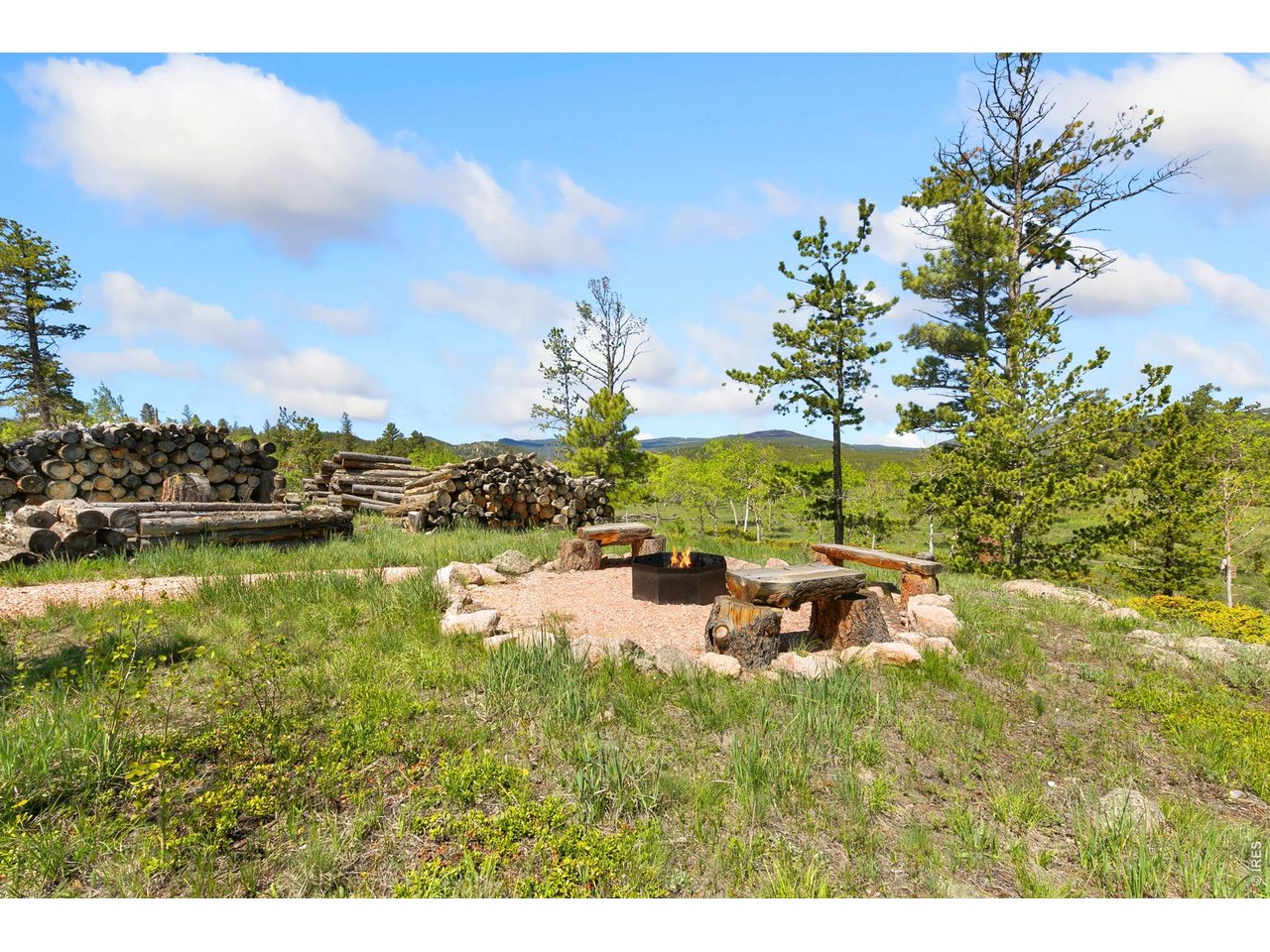 Benches and plenty of firewood!