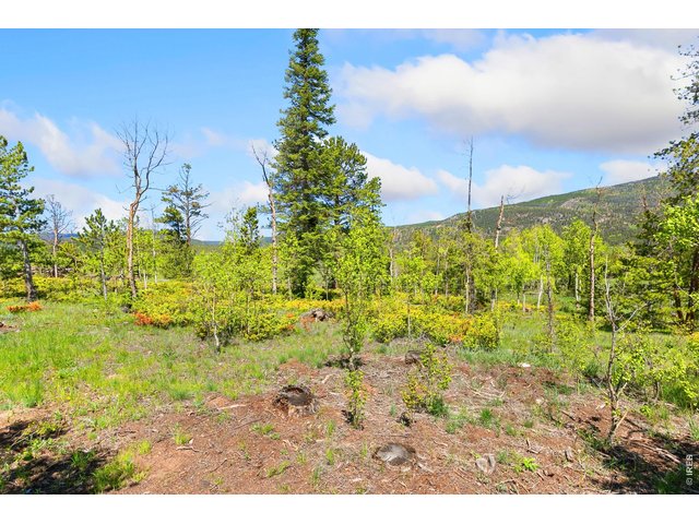 Property Photo 24 