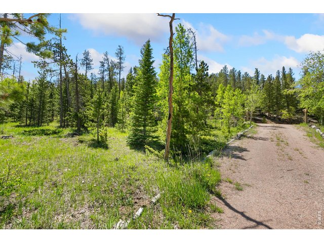 Property Photo 31 
