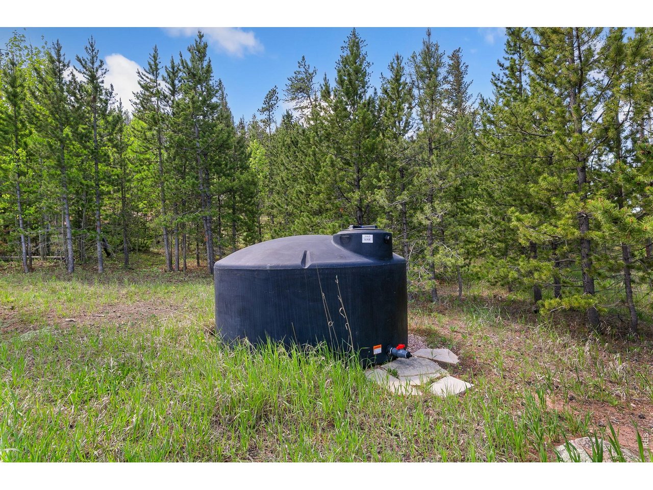 1100 gal cistern stays!