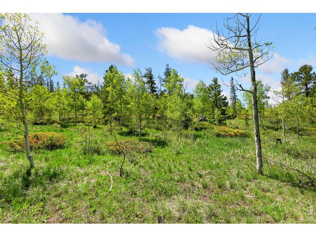 Property Photo 22 