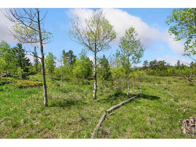 Property Photo 25 