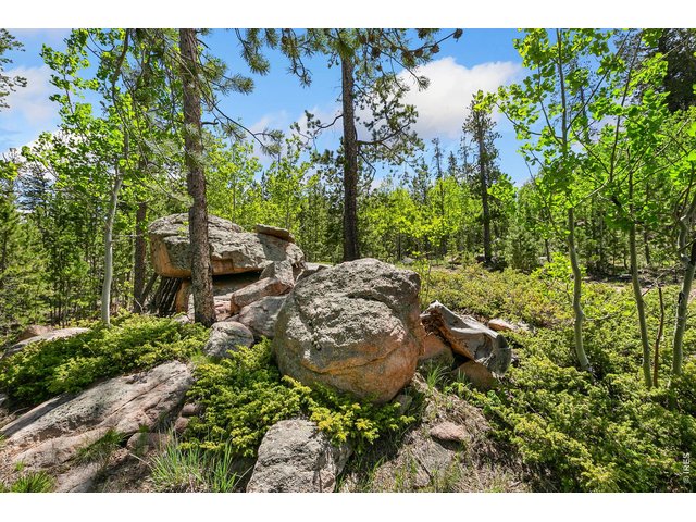 Property Photo 24 