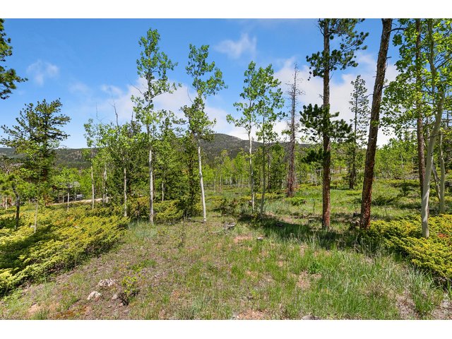 Property Photo 29 