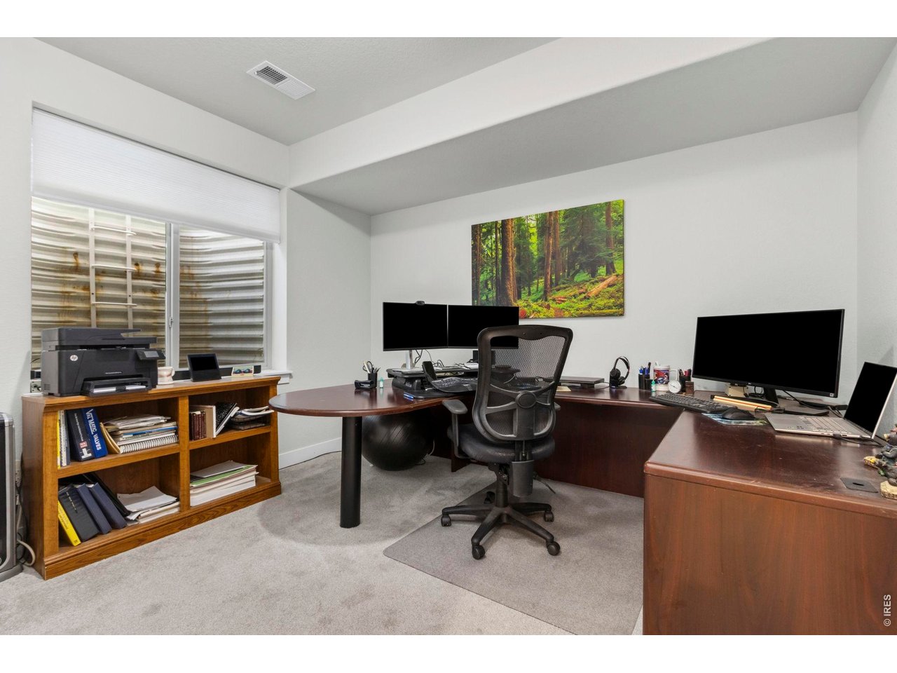3rd bedroom in basement includes walk-in closet