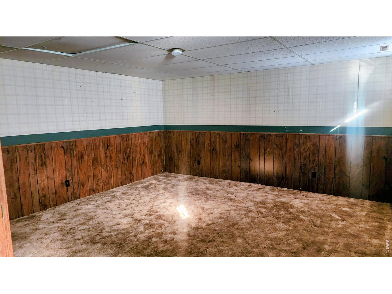 Rec Room or 4th Bed