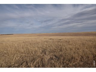 (TBD) County Road DD Akron, CO 80720