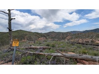 1360 Meadow Mountain Dr Livermore, CO 80536