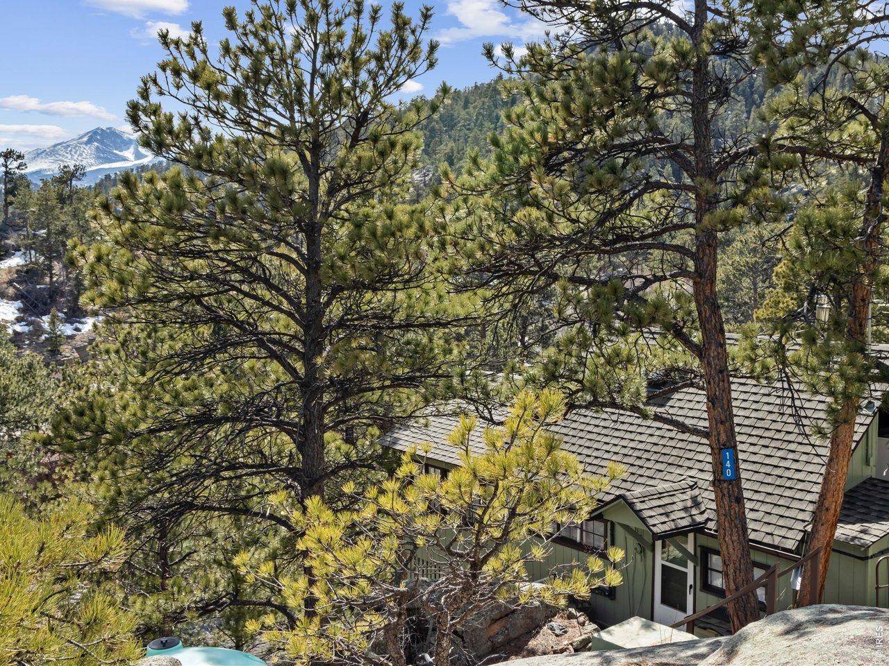 Towering Pines