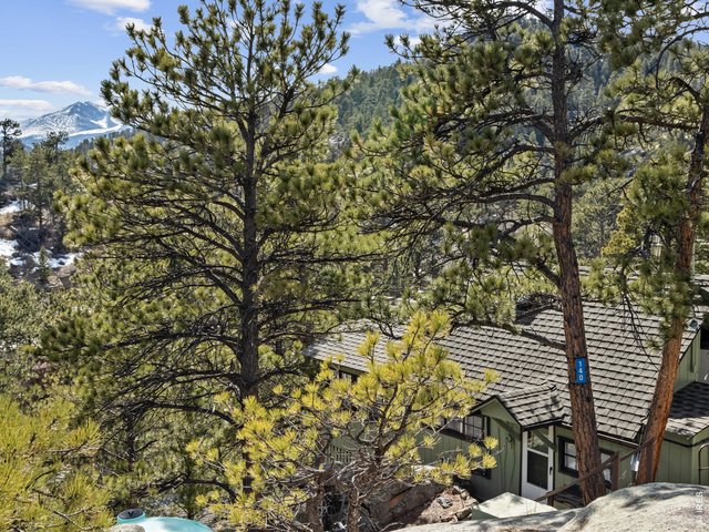 Property Photo 19 Towering Pines