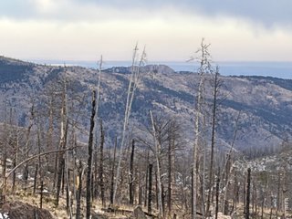 2025 Granite Rd Bellvue, CO 80512