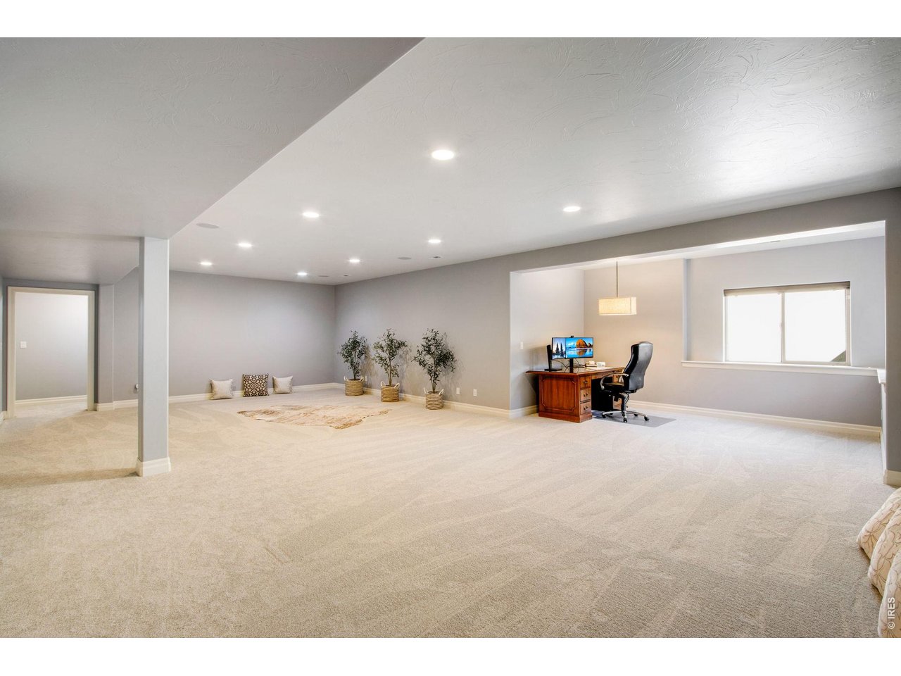 Sprawling Lower Level