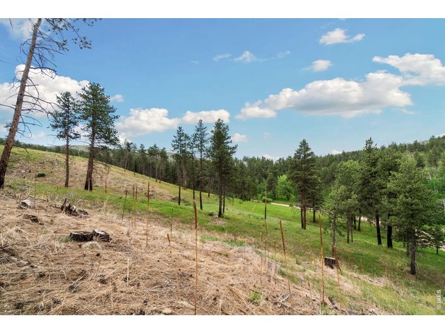 Property Photo 13 
