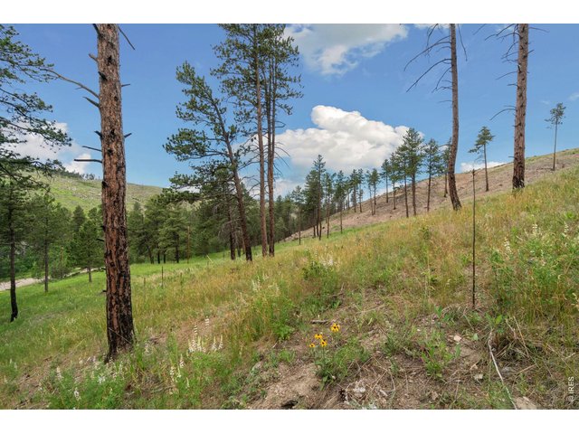 Property Photo 16 