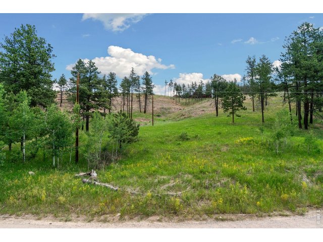 Property Photo 18 View from the road side of Davis Ranch Rd