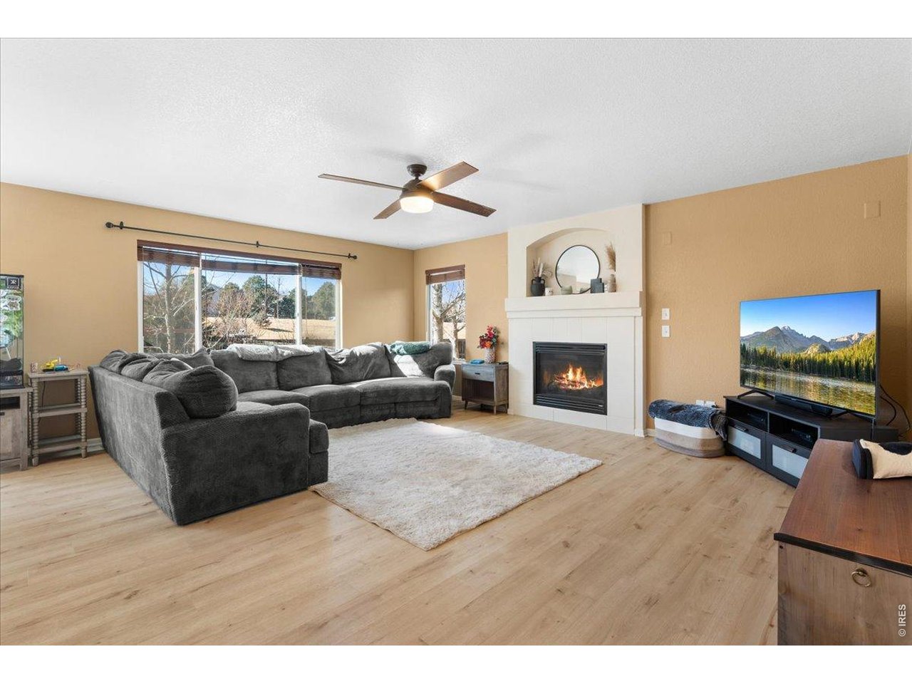 Gas Fireplace