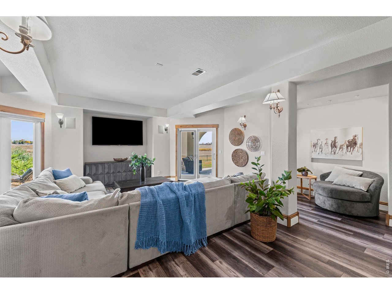 Basement Living Area