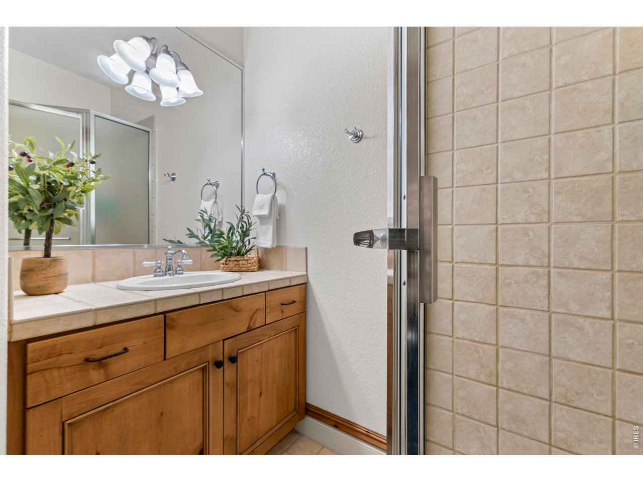 Basement Bathroom
