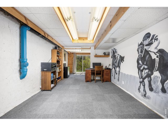 Property Photo 27 The walk-out basement includes a custom workshop, bonus room (perfect for an office or gym), walk-in sauna, storage, and space to expand.