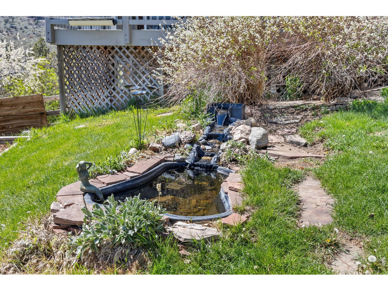 Backyard water feature