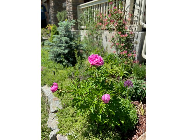Property Photo 38 