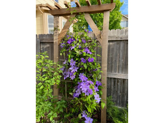 Property Photo 39 