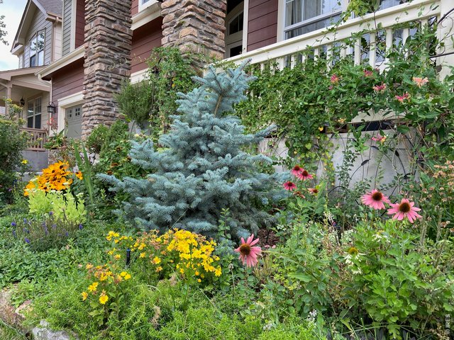 Property Photo 41 