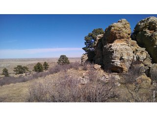 4318 Green Mile Dr Laporte, CO 80535