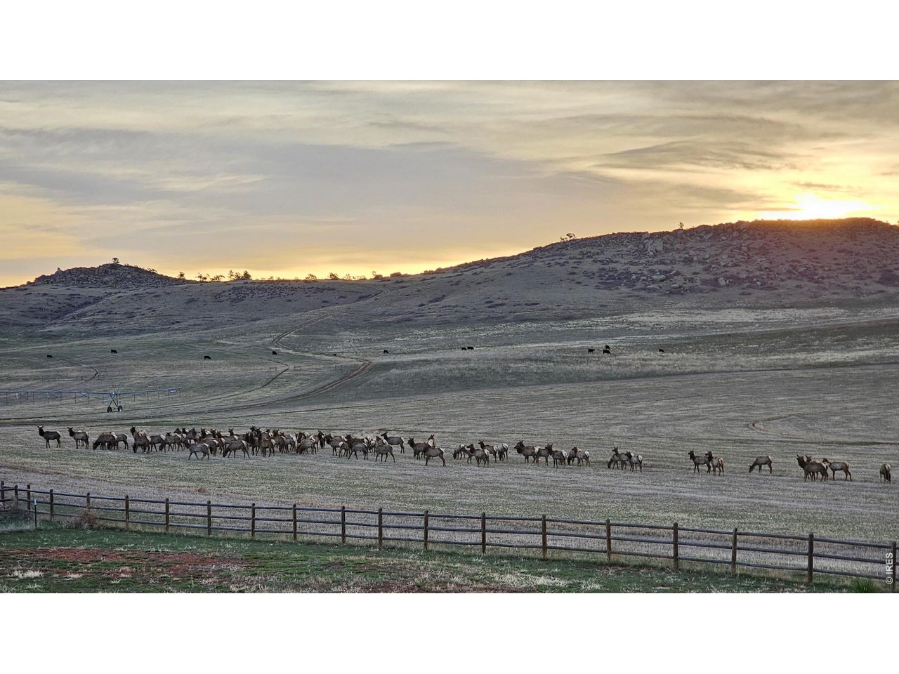 Seller Provided Photo of the Elk Passing Through!