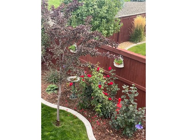 Property Photo 31 