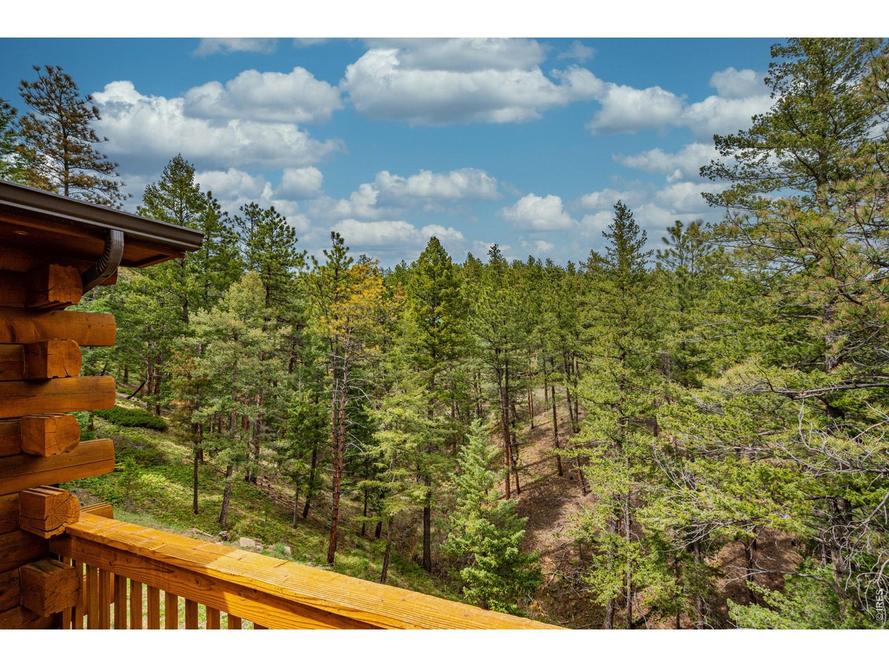 Property Photo 35 